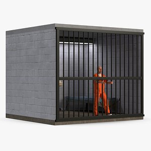 3D Prisoner in Jail Cell