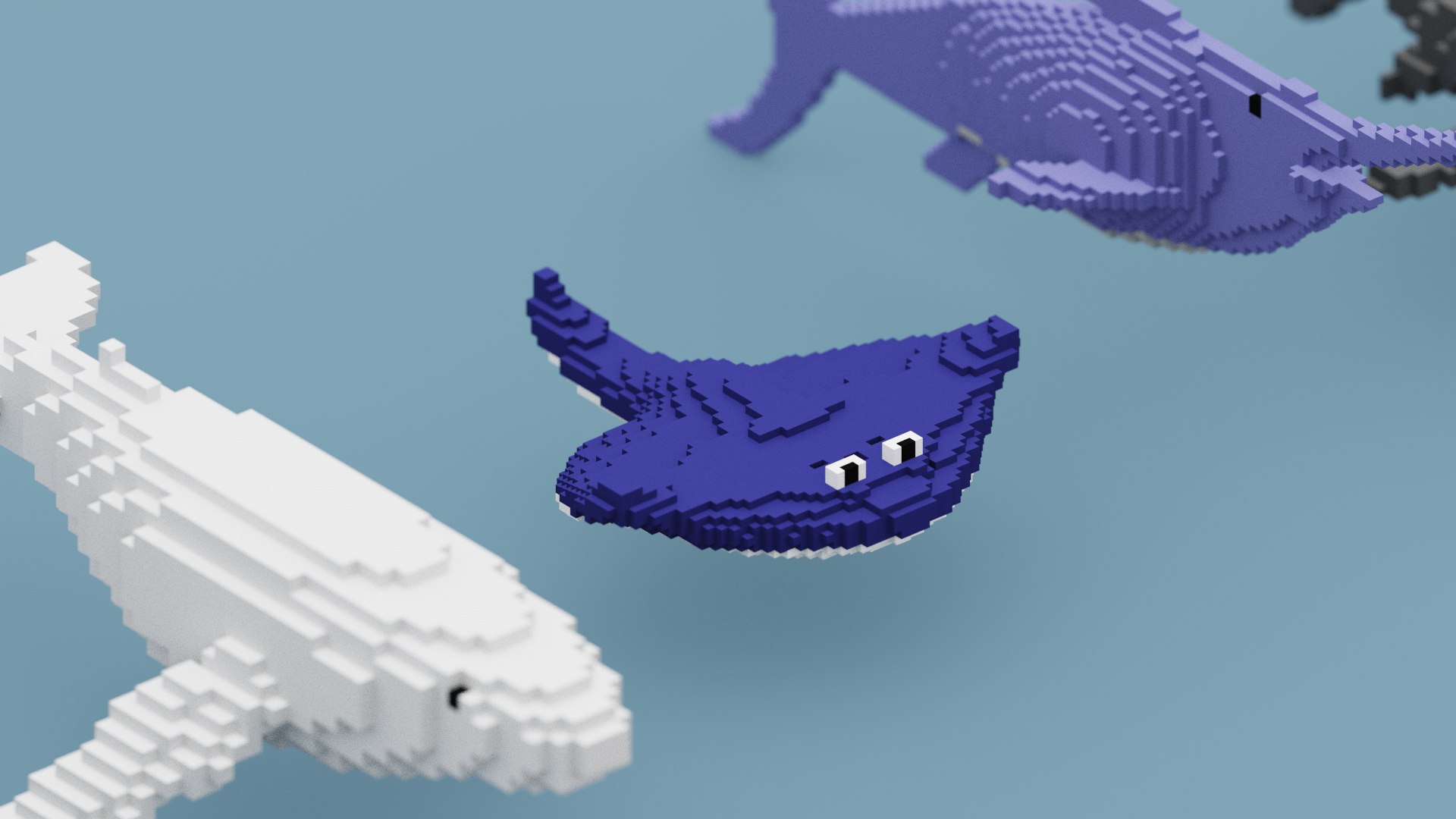 3D Voxel Sea Animals https://p.turbosquid.com/ts-thumb/o0/4FGhMO/iv/snap20230708184839/png/1688840909/1920x1080/fit_q87/5e25907a060a4938a1207d0ad2327cc6a374ff47/snap20230708184839.jpg