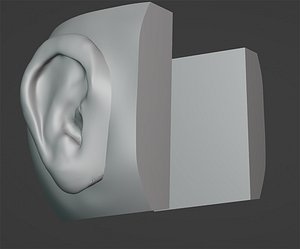 Blender 3D detailed ears right and left 3D