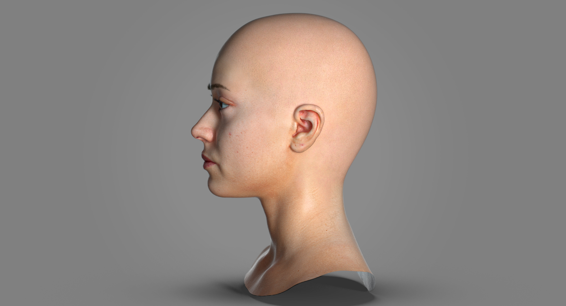 Real pbr freya human head 3D model - TurboSquid 1695919