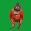 3D Orangutan model