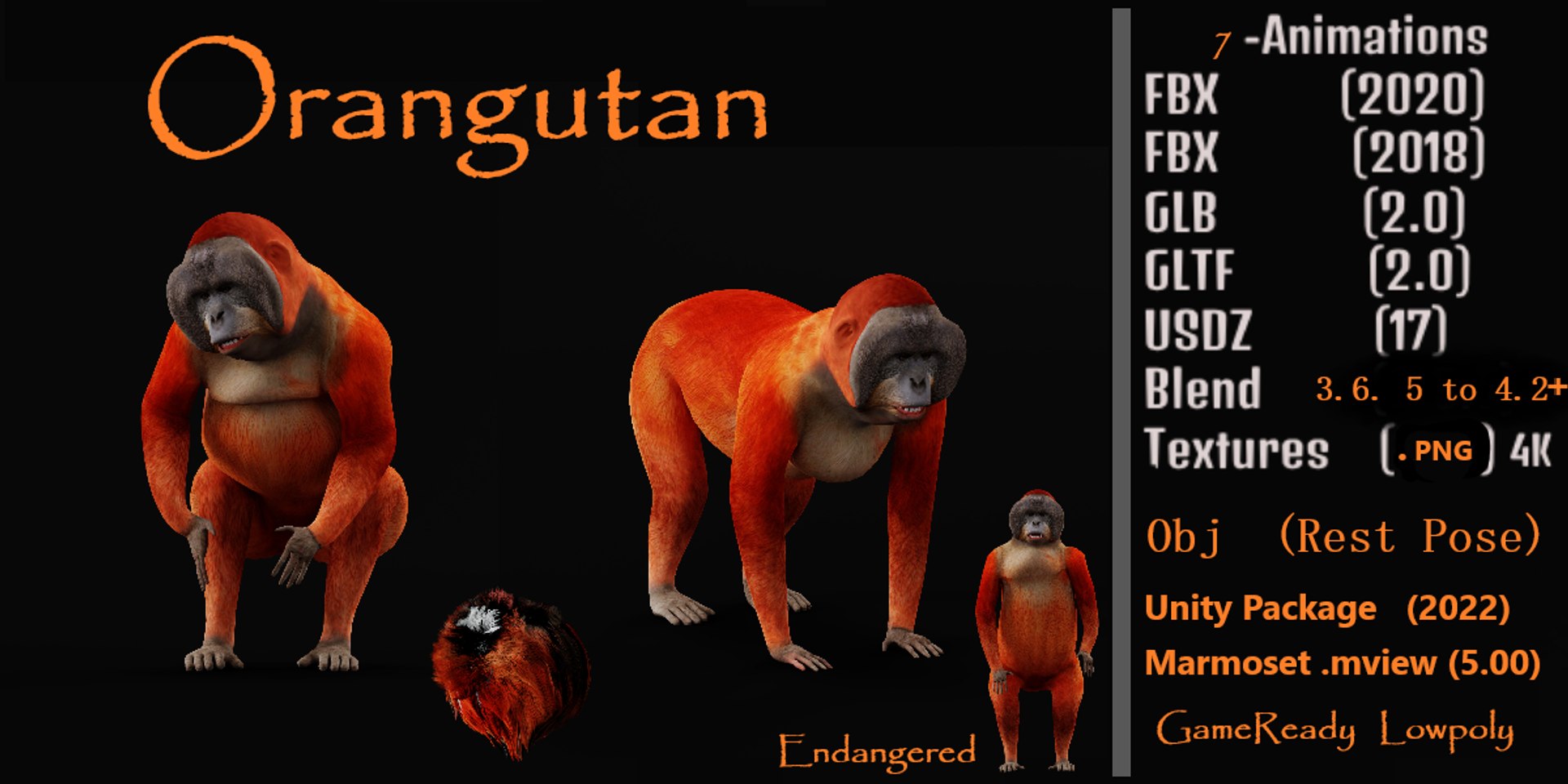 3D Orangutan model https://p.turbosquid.com/ts-thumb/o0/b6RmYN/sk/orangutan_monkey/png/1731627767/1920x1080/fit_q87/6e446cc87ab8c52d5c9b2f066bddbfc284d30599/orangutan_monkey.jpg