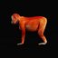 3D Orangutan model