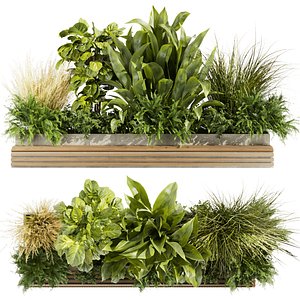 3D Collection plant vol 496 - garden - leaf - banana - wood - 3dsmax - cinema 4d