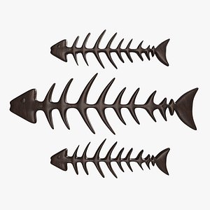 Fish Sceleton 3D