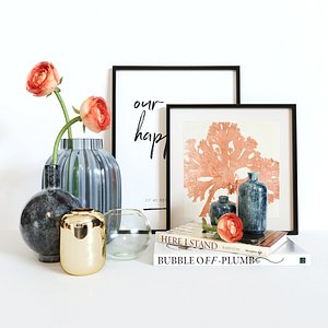 Ranunculus decorative set