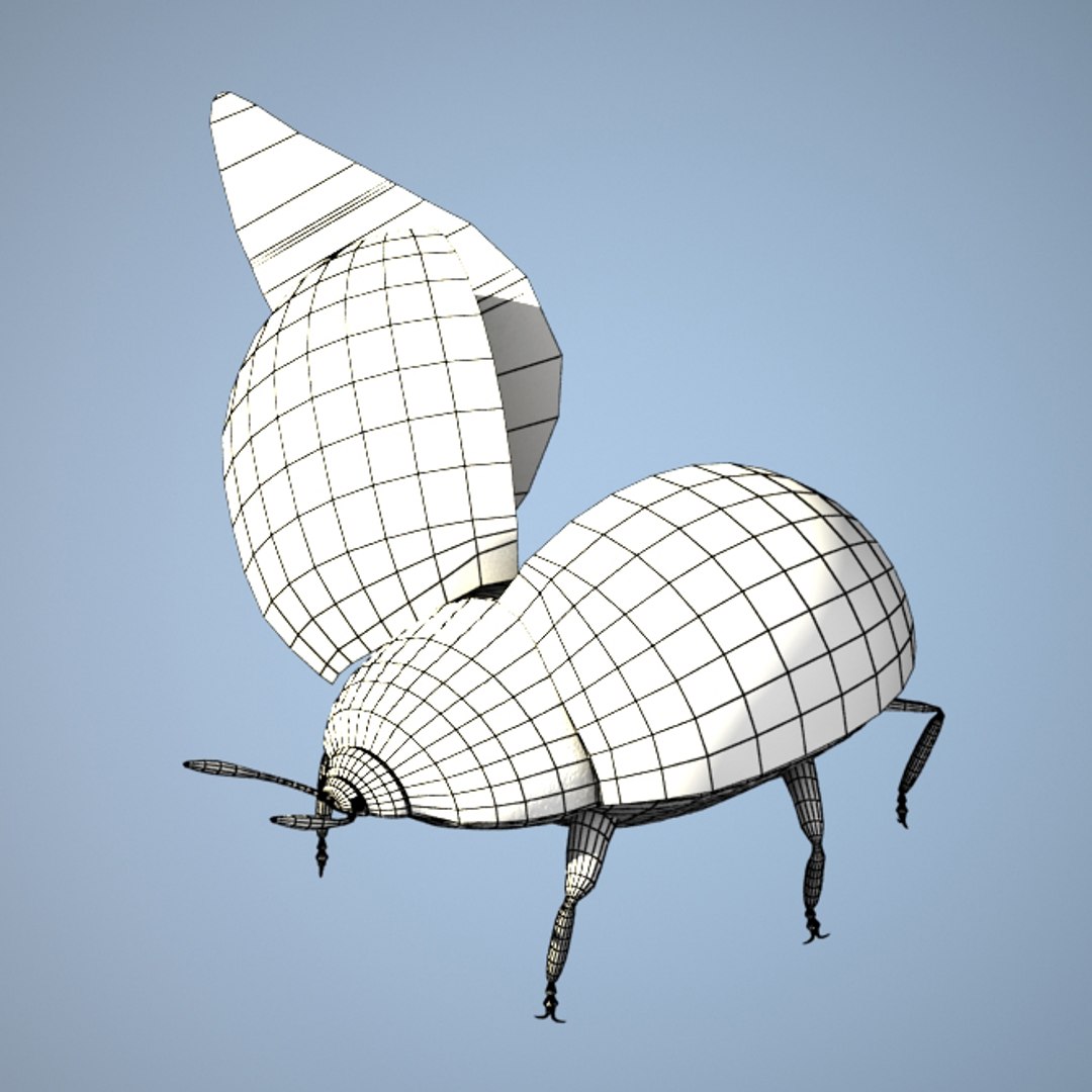 3d Ladybug Rigged Model