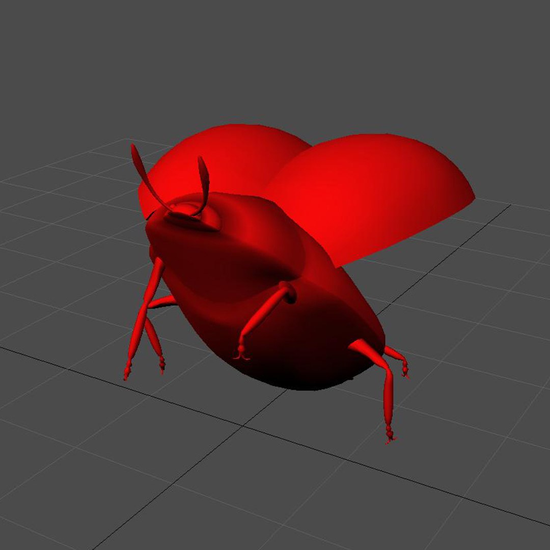 3d Ladybug Rigged Model