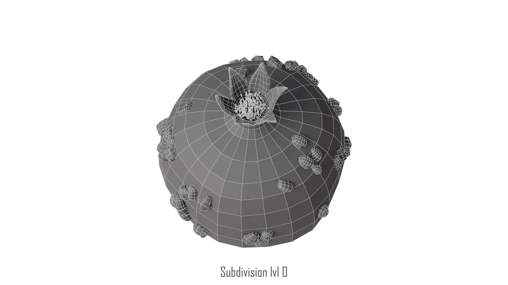 Pomegranate 3D model https://p.turbosquid.com/ts-thumb/o1/8IHhmB/E0/pomegranate_07_wireframe/jpg/1736361978/1920x1080/fit_q87/22034feddca60f008b5d2741804211797c668441/pomegranate_07_wireframe.jpg