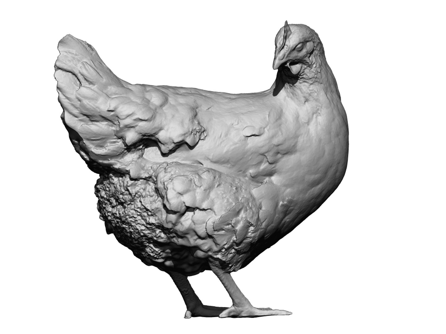 3D Real Chicken Scanned Model - TurboSquid 1387065