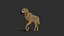 Dog rigged and animated