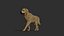 Dog rigged and animated