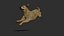 Dog rigged and animated