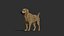 Dog rigged and animated