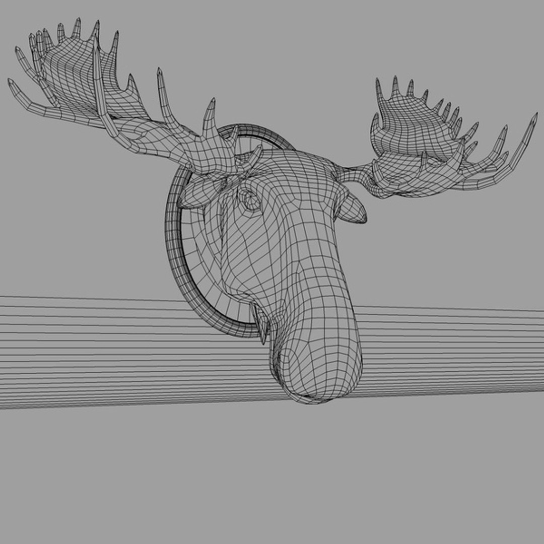 3d Model Moose Head Wire600