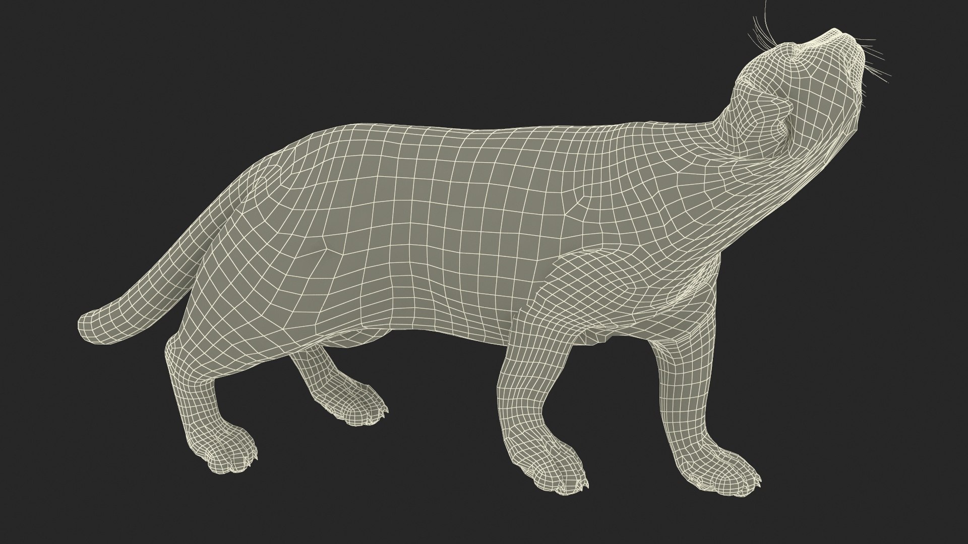 3D Pallas Cat Fur Rigged model https://p.turbosquid.com/ts-thumb/o1/NgPFid/4Q/pallascatfurriggedvray3dmodel036/jpg/1708534124/1920x1080/fit_q87/238db3159994f2596abb6fc6830f25039c9083e1/pallascatfurriggedvray3dmodel036.jpg