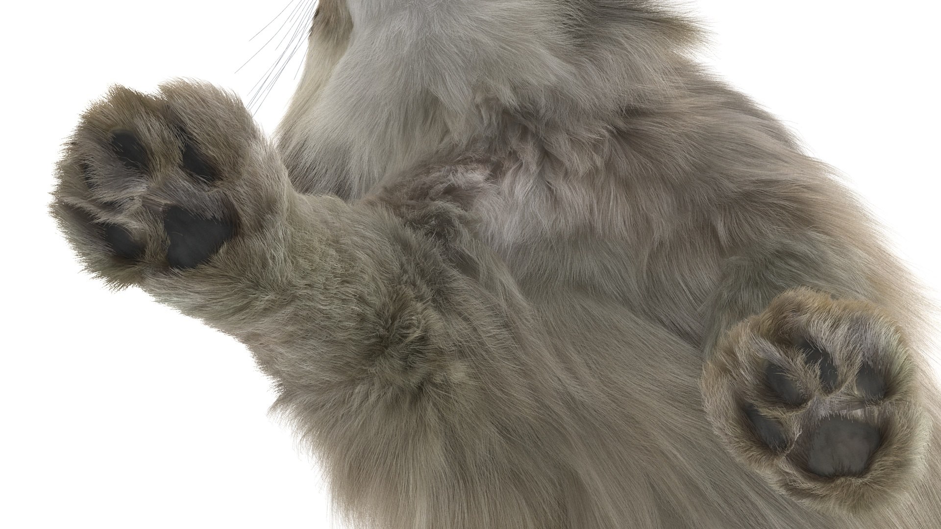 3D Pallas Cat Fur Rigged model https://p.turbosquid.com/ts-thumb/o1/NgPFid/T4/pallascatfurriggedvray3dmodel020/jpg/1708534055/1920x1080/fit_q87/0032e01a29c5225560c8818467e9e92e647dc8bf/pallascatfurriggedvray3dmodel020.jpg