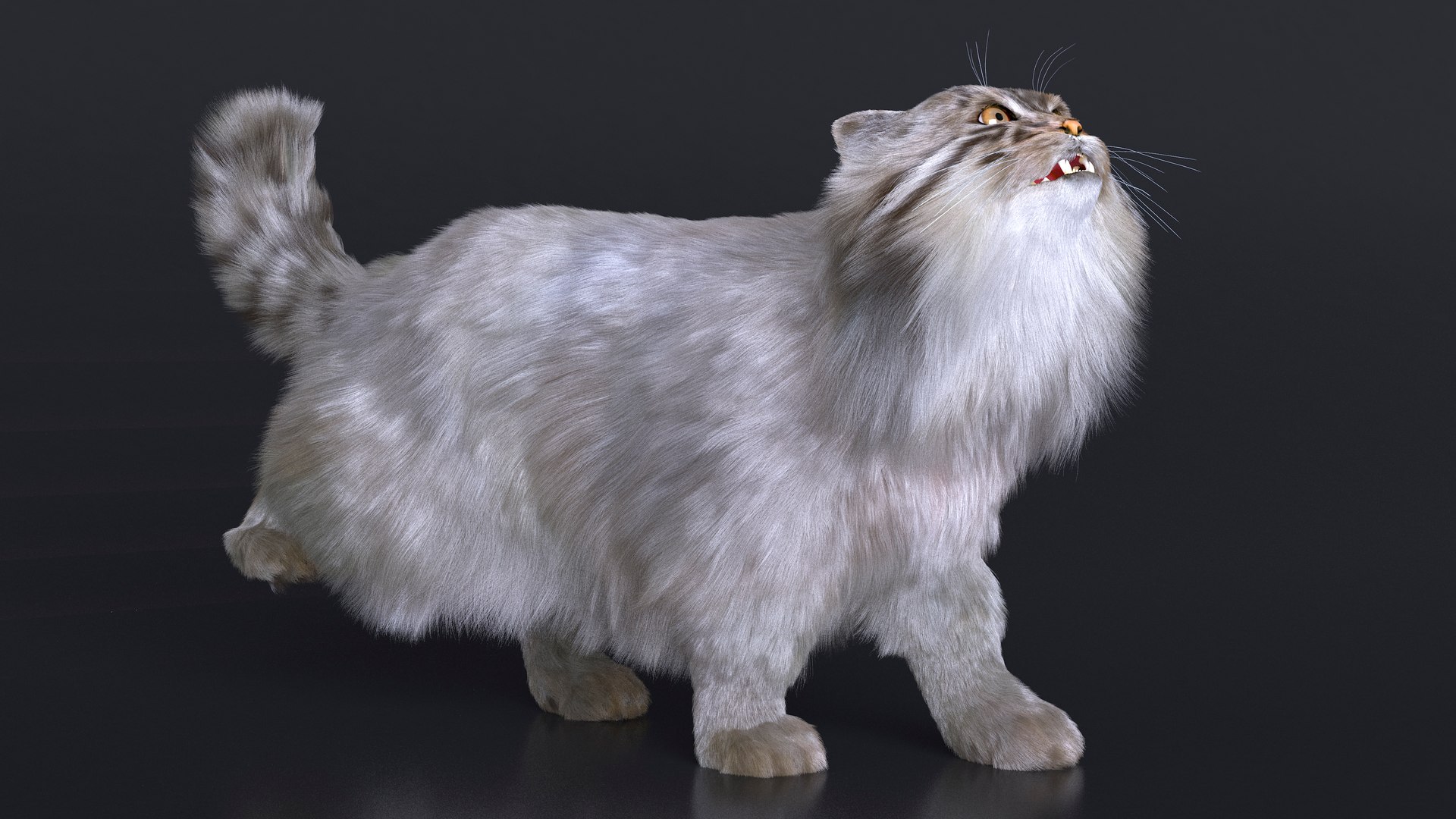 3D Pallas Cat Fur Rigged model https://p.turbosquid.com/ts-thumb/o1/NgPFid/Un/pallascatfurriggedvray3dmodel010/jpg/1708534008/1920x1080/fit_q87/bfa132b2879516d145b65294e6c15da96f089f19/pallascatfurriggedvray3dmodel010.jpg