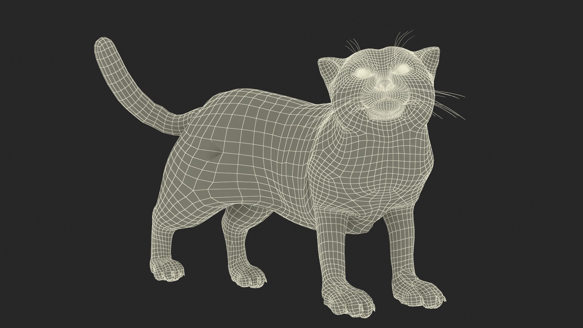3D Pallas Cat Fur Rigged model https://p.turbosquid.com/ts-thumb/o1/NgPFid/V1/pallascatfurriggedvray3dmodel030/jpg/1708534098/1920x1080/fit_q87/2d6bb3690bf2775b93b83927809aa15237031fa3/pallascatfurriggedvray3dmodel030.jpg