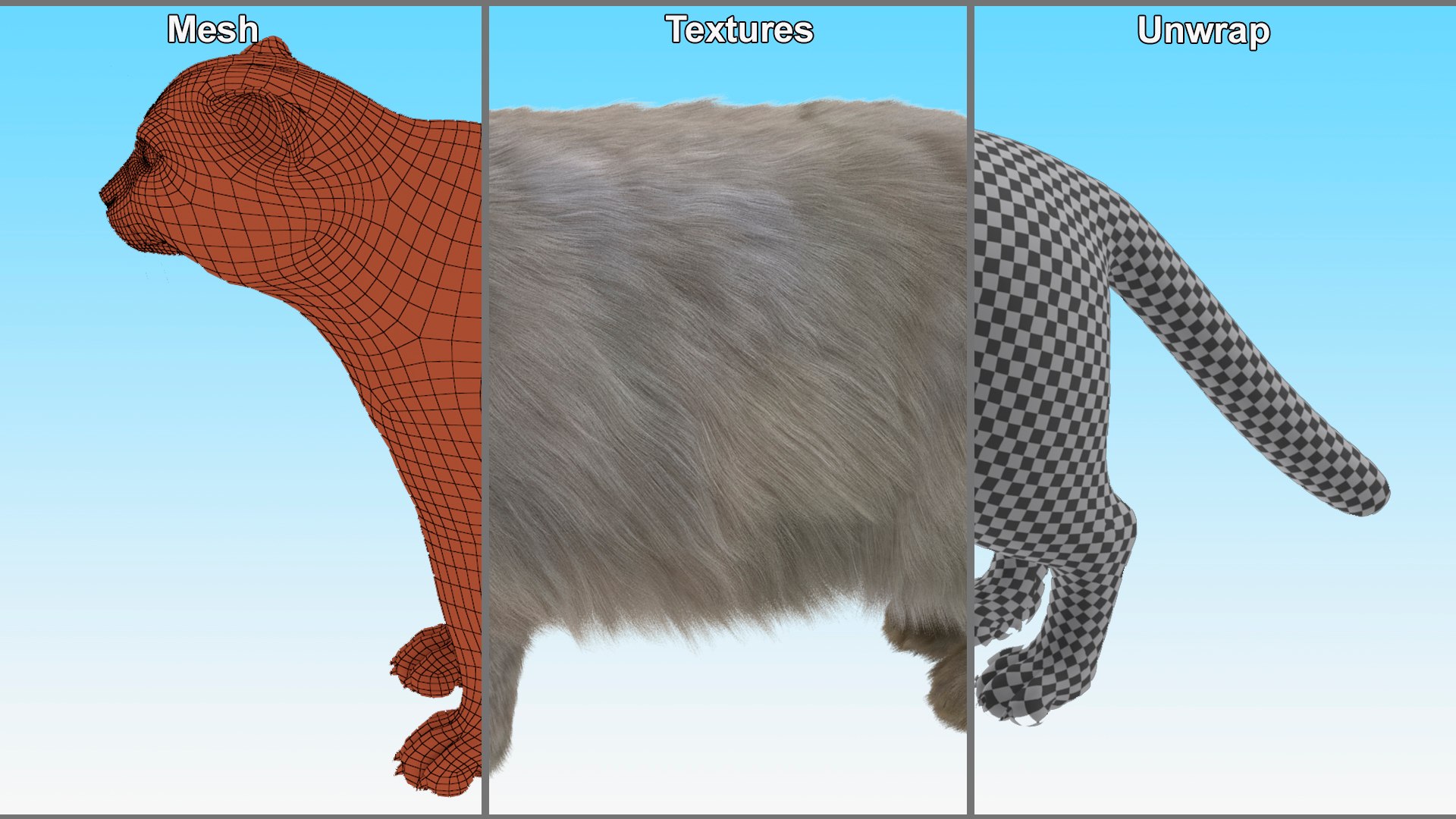 3D Pallas Cat Fur Rigged model https://p.turbosquid.com/ts-thumb/o1/NgPFid/cN/pallascatfurriggedvray3dmodel022/jpg/1708534064/1920x1080/fit_q87/74299ebb447288fa8b0ac5e31225348f25c114e6/pallascatfurriggedvray3dmodel022.jpg
