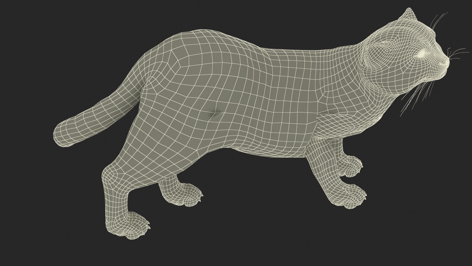 3D Pallas Cat Fur Rigged model https://p.turbosquid.com/ts-thumb/o1/NgPFid/eB/pallascatfurriggedvray3dmodel035/jpg/1708534120/1920x1080/fit_q87/3f08684006b5432281ad29403c362555a3291054/pallascatfurriggedvray3dmodel035.jpg