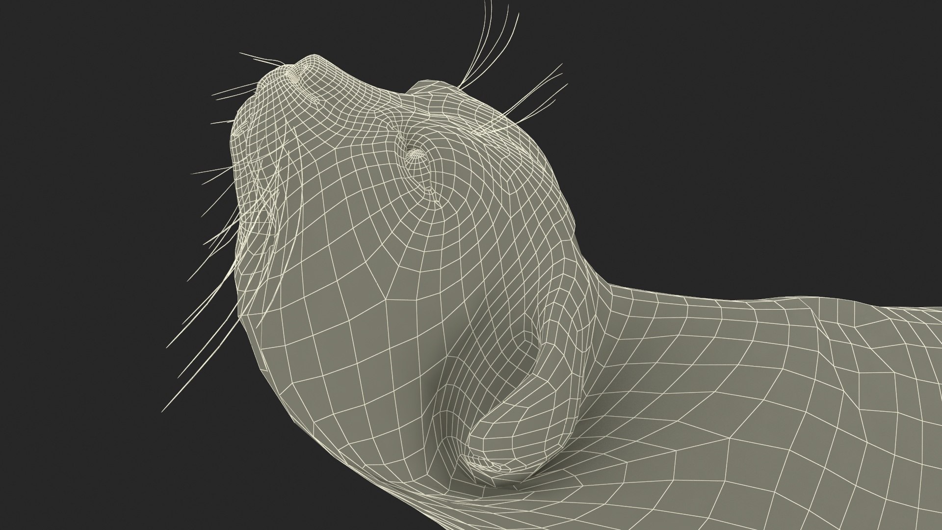 3D Pallas Cat Fur Rigged model https://p.turbosquid.com/ts-thumb/o1/NgPFid/fg/pallascatfurriggedvray3dmodel029/jpg/1708534094/1920x1080/fit_q87/f5746735a9fc3a7161699d19c0c151a2db9c6aa4/pallascatfurriggedvray3dmodel029.jpg