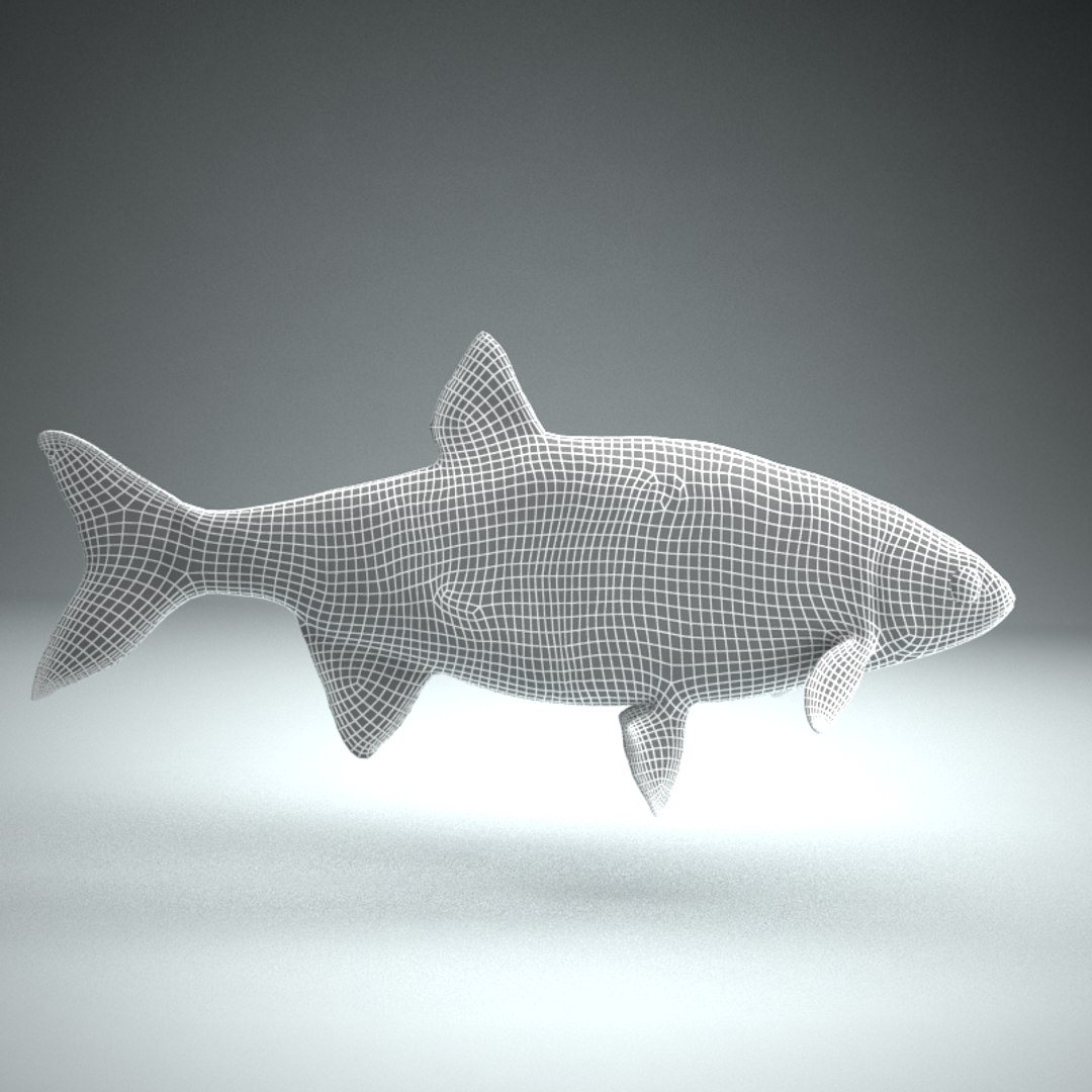 3d Fish Roach Model