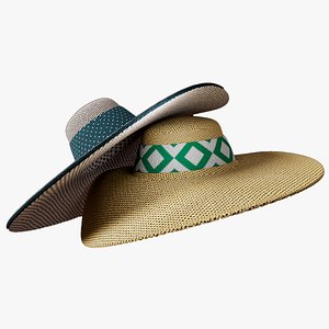 BEST  SUMMER HATS EVER 3D