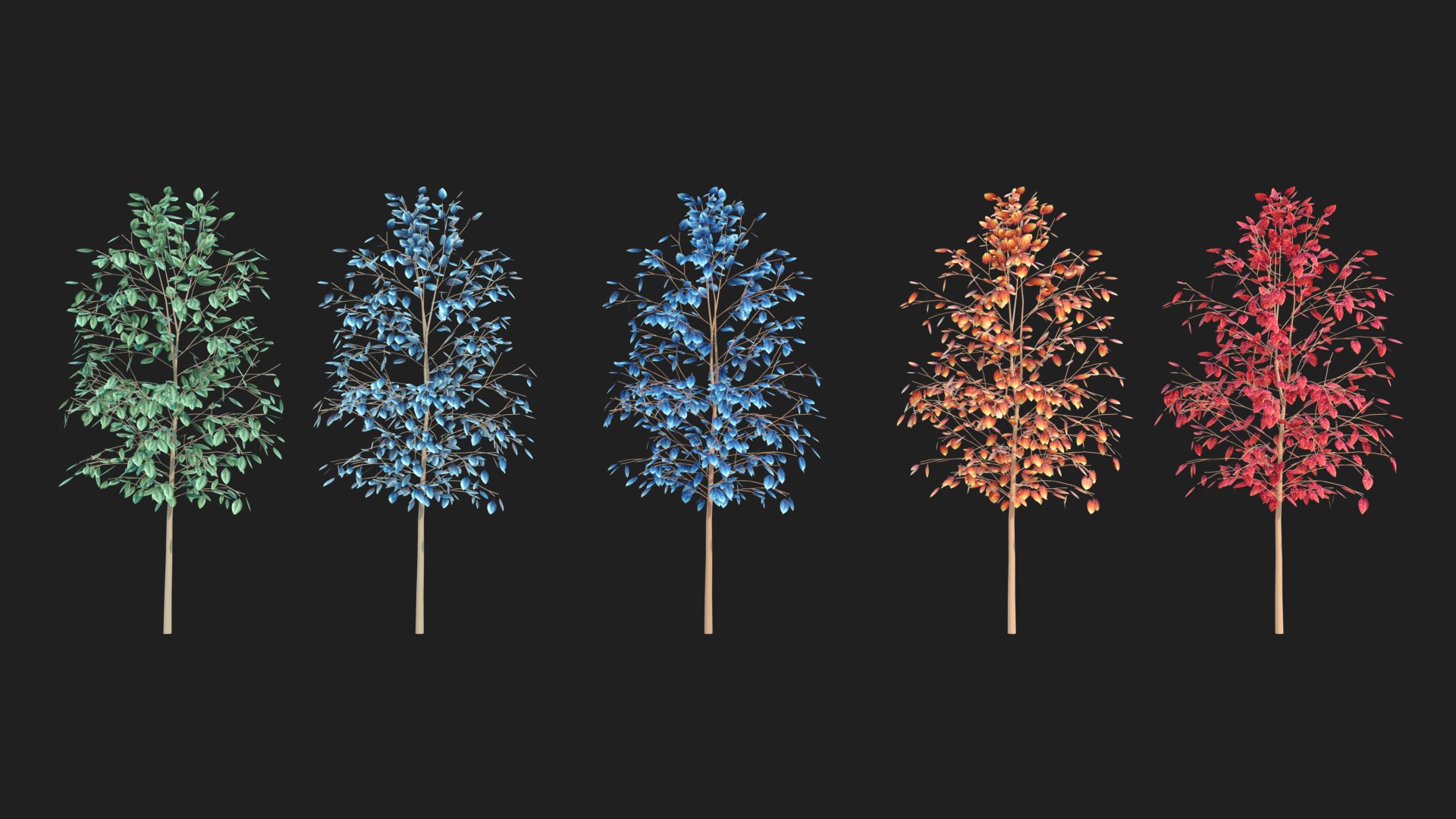 3D Types Texture Of Leaves And Trees Low Poly - TurboSquid 2226330