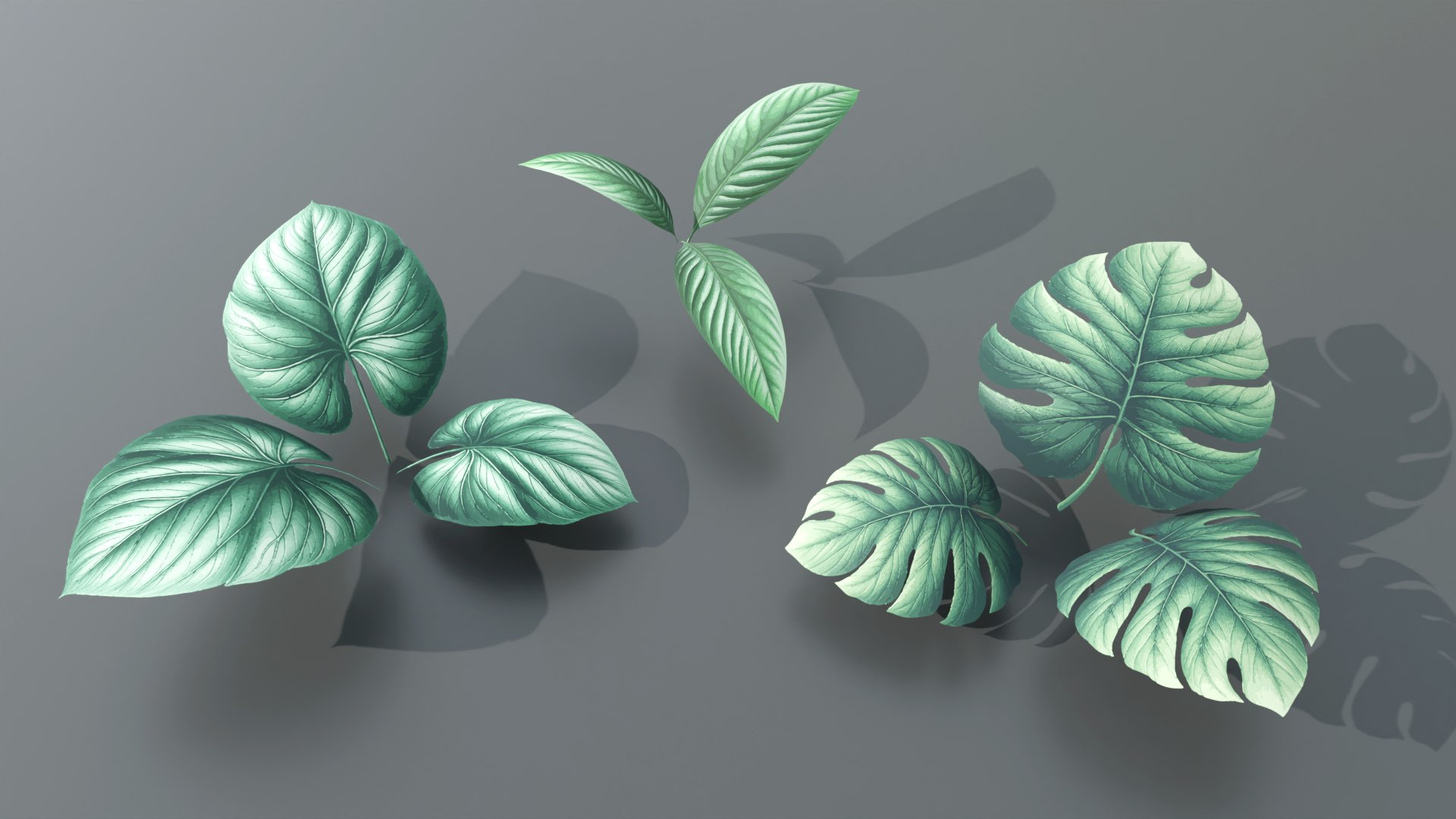 3D Types Texture Of Leaves And Trees Low Poly - TurboSquid 2226330