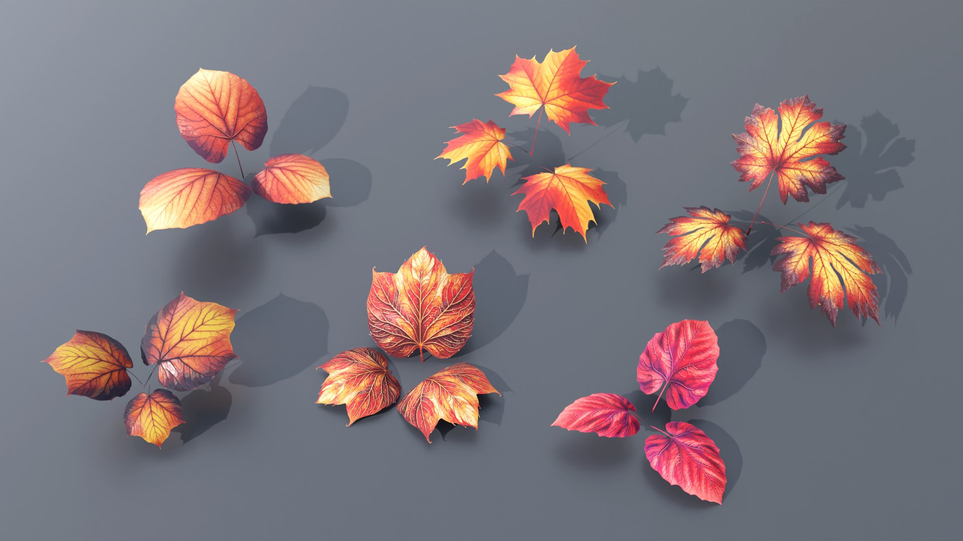 3D Types Texture Of Leaves And Trees Low Poly - TurboSquid 2226330