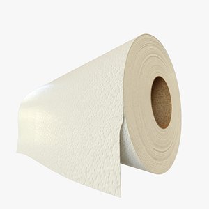 paper towel roll model