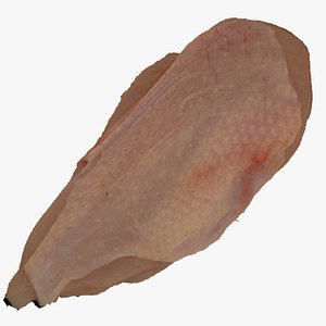 3D Chicken Breast Skin On 01 RAW Scan model