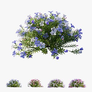 plant flower set 10 3D model