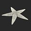 Starfish 2
