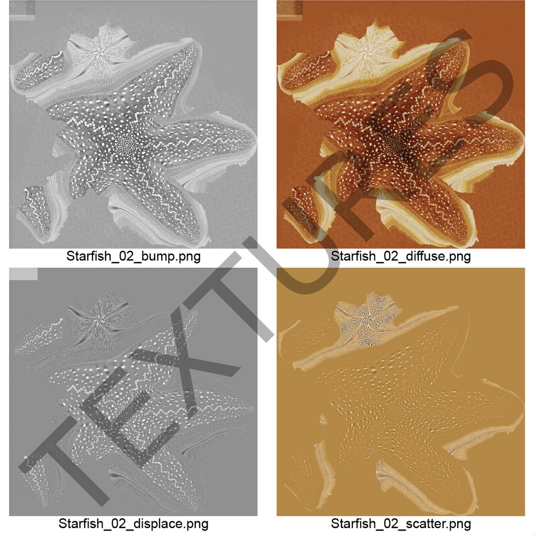 3d model starfish 2 https://p.turbosquid.com/ts-thumb/o2/bHCoVv/AGNGn4IR/starfish3dmodel18/jpg/1458726978/1920x1080/fit_q87/596795138b5d09871d785d71a0e10765e21dbed7/starfish3dmodel18.jpg