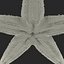 Starfish 2