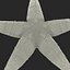 Starfish 2