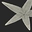 Starfish 2