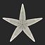 Starfish 2