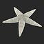 Starfish 2
