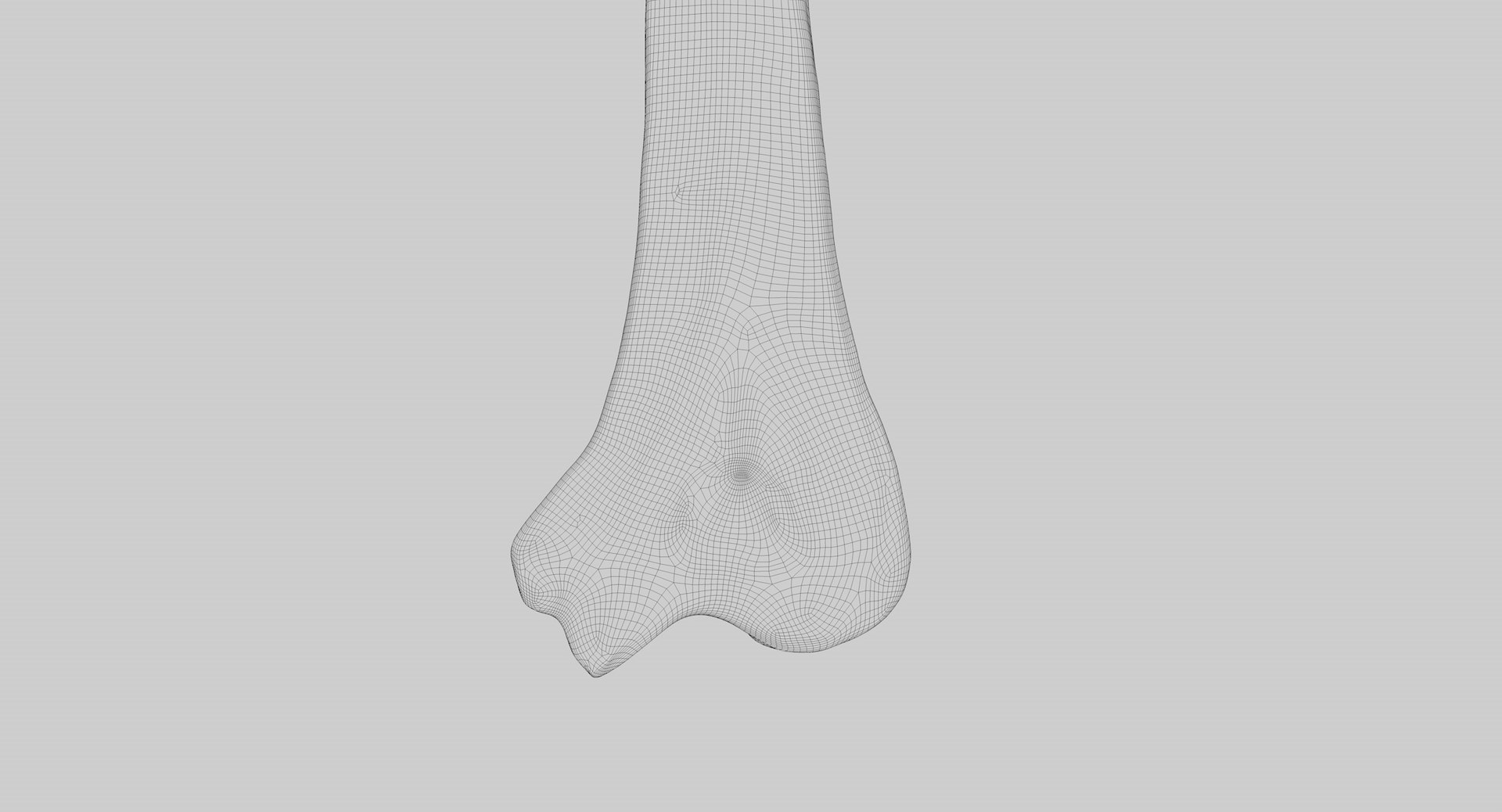 3D Human Humerus Bone PBR https://p.turbosquid.com/ts-thumb/o2/ewy9rf/FN/wir05/jpg/1777107674/1920x1080/fit_q87/dd41f9f36807fef17947f69649383fd825a8abac/wir05.jpg
