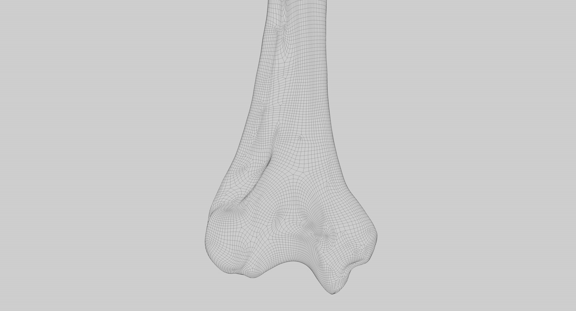3D Human Humerus Bone PBR https://p.turbosquid.com/ts-thumb/o2/ewy9rf/S5/wir02/jpg/1777107672/1920x1080/fit_q87/3ac449977750cac9e7ff8405e1dce5013cc65d0c/wir02.jpg