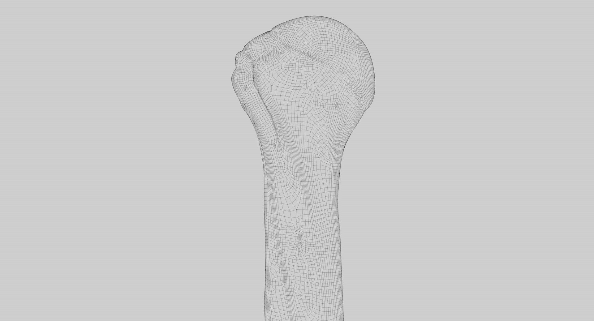 3D Human Humerus Bone PBR https://p.turbosquid.com/ts-thumb/o2/ewy9rf/rj/wir03/jpg/1777107673/1920x1080/fit_q87/73029ba799b14f5dd09a9e9ce9f7155647e26795/wir03.jpg