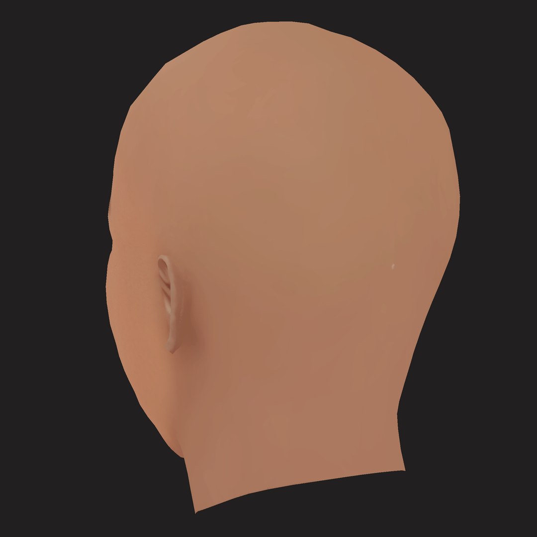 3D Low Poly ASAP Rocky Rapper Head https://p.turbosquid.com/ts-thumb/o2/fOCiet/59/04/png/1791949240/1920x1080/fit_q87/0846d91af7d8a59e32f3dd67c6e59551118da129/04.jpg