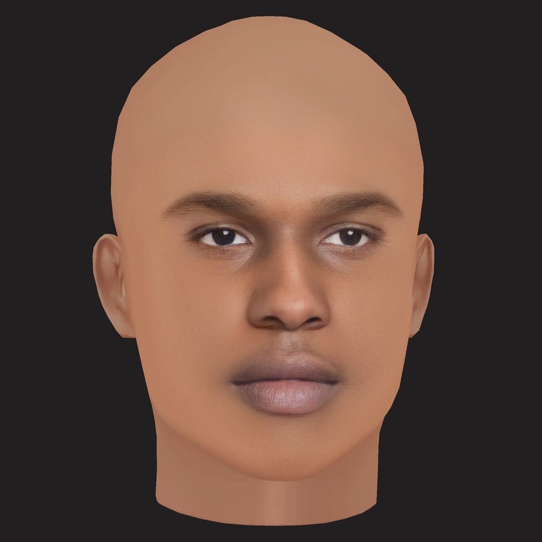 3D Low Poly ASAP Rocky Rapper Head https://p.turbosquid.com/ts-thumb/o2/fOCiet/gR/07/png/1791949256/1920x1080/fit_q87/a96f08bc6eb82b22df7e0454fbbdb651247e58ab/07.jpg