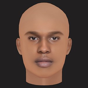 Low Poly ASAP Rocky Rapper Head