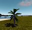 Palmtrees Package