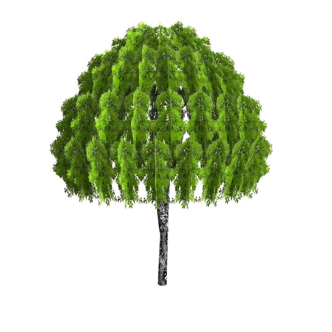 tree s https://p.turbosquid.com/ts-thumb/o3/9cQ9AG/6EyHYl7J/4lowpolytree2/jpg/1346286549/1920x1080/fit_q87/5c516c8d653eed187c906d6d23b6270eeb044d86/4lowpolytree2.jpg