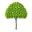 Low Poly Tree 4